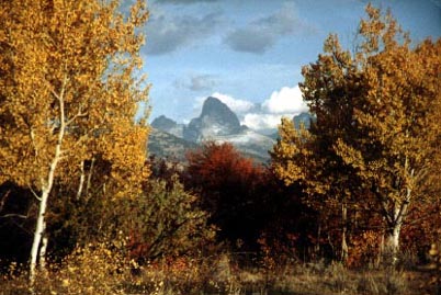 tetons in fall